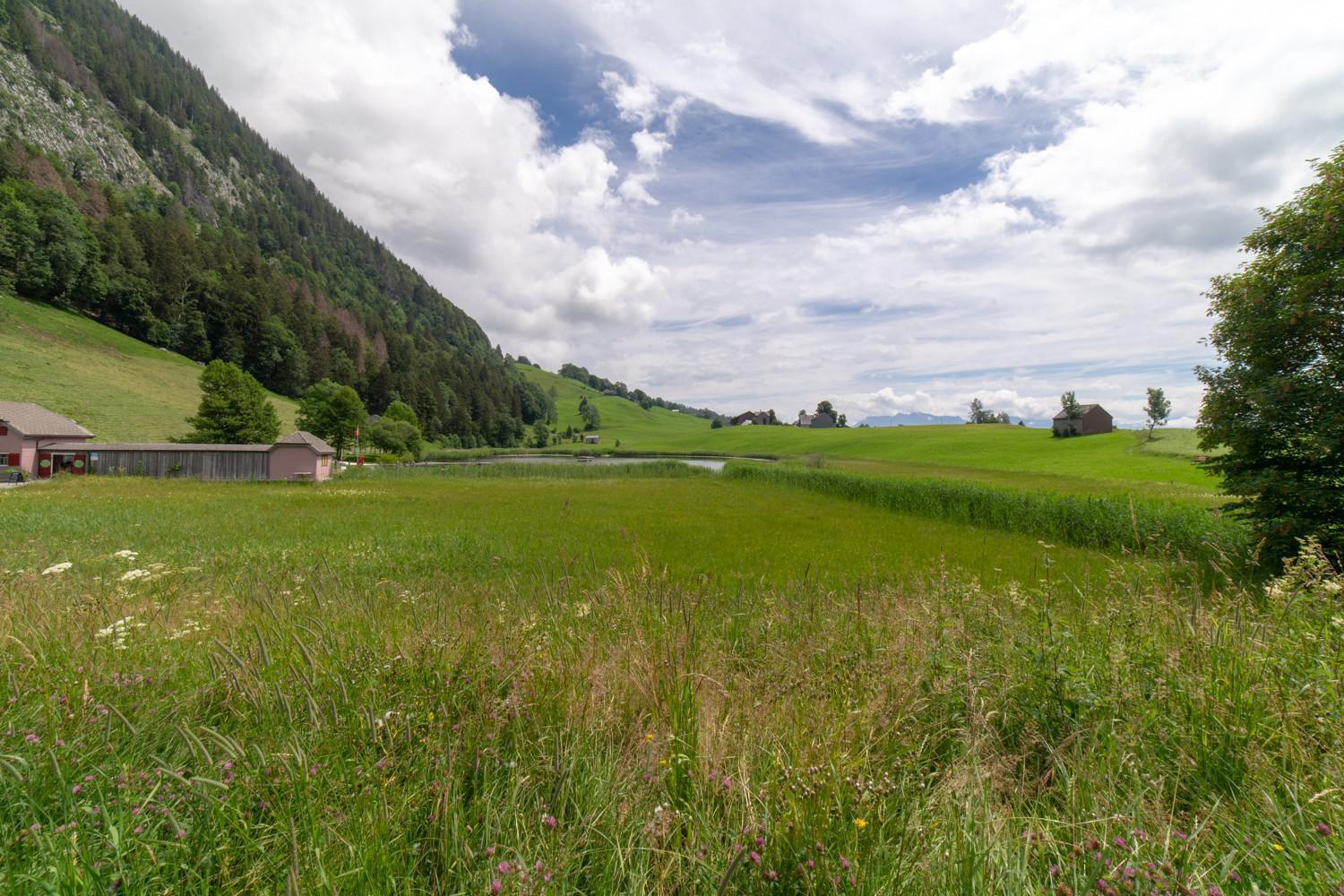 Wiesel Wildhaus Eksteriør bilde