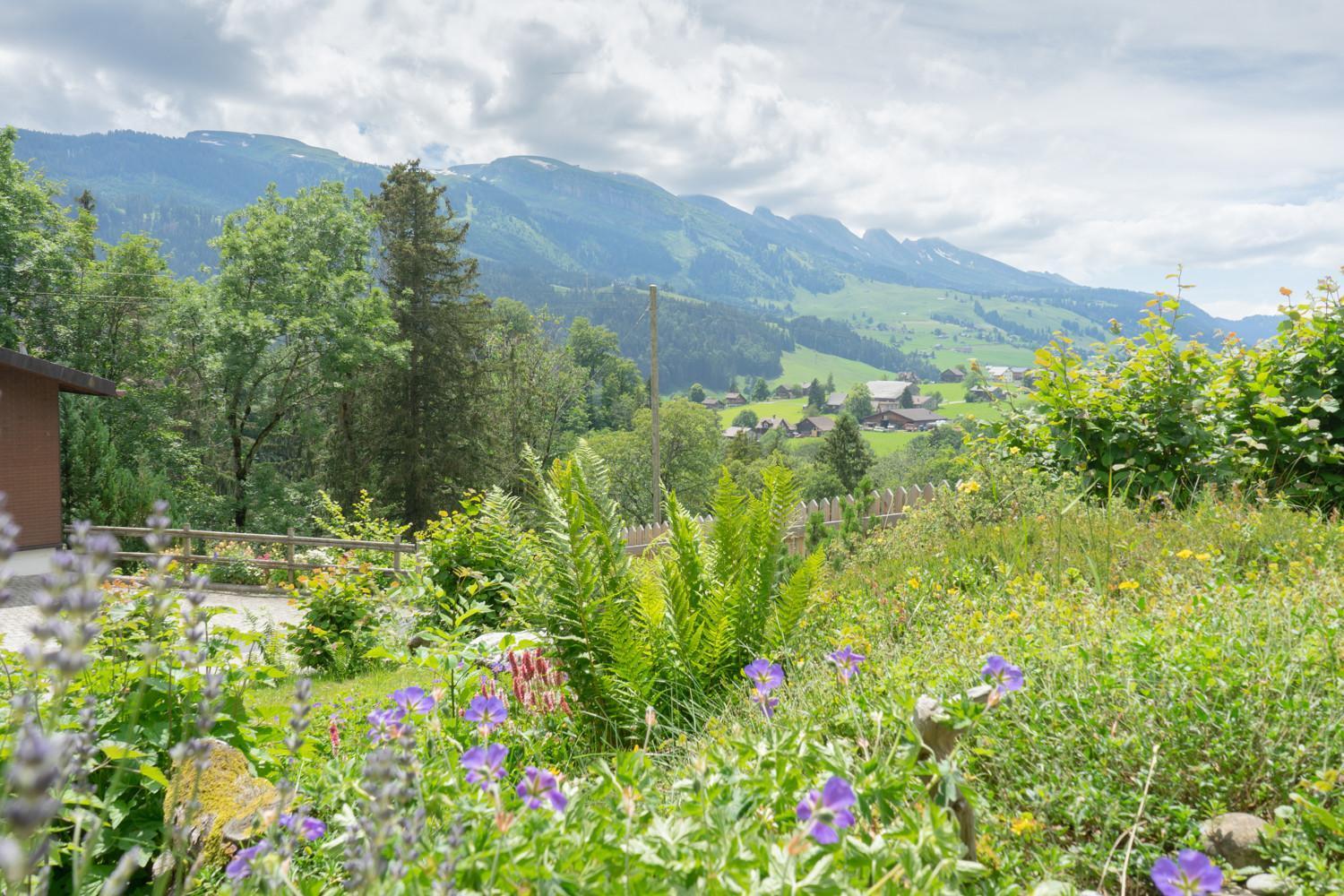 Wiesel Wildhaus Eksteriør bilde